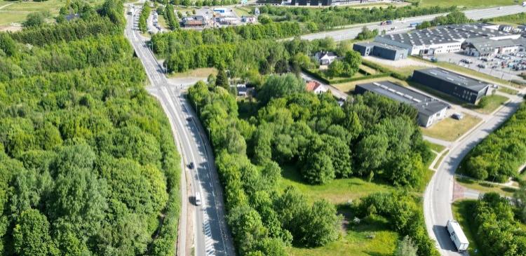 Dronefoto af Niels Bohrs Vej/Randersvej med erhverv i baggrunden og grønne træer i forgrunden.